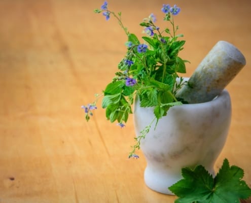 Cert of Herbal Medicine Blog scaled