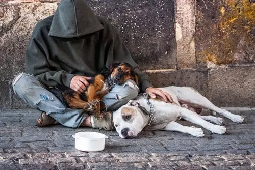 Online Homelessness Support Course