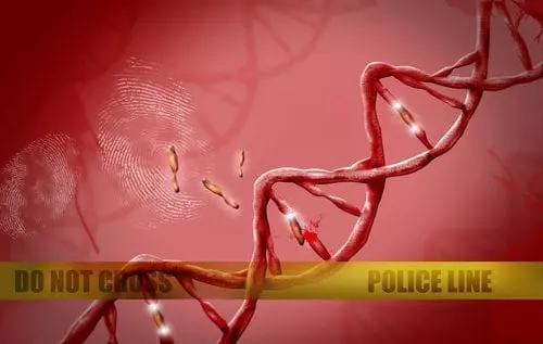 Online Criminology Forensic Psychology Course