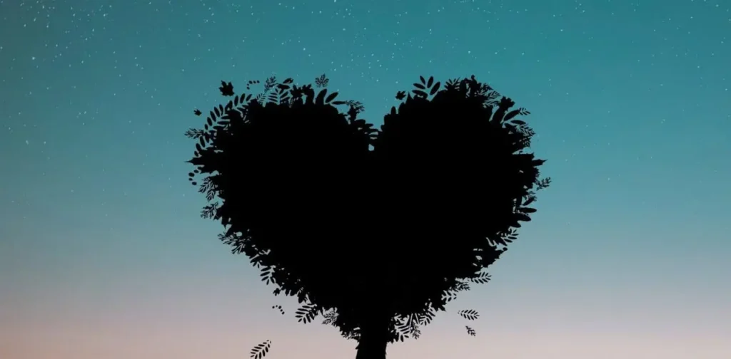 Heart Chaplaincy 1280x630