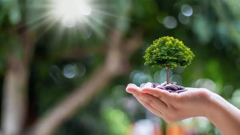 Environmental Course 1200x675