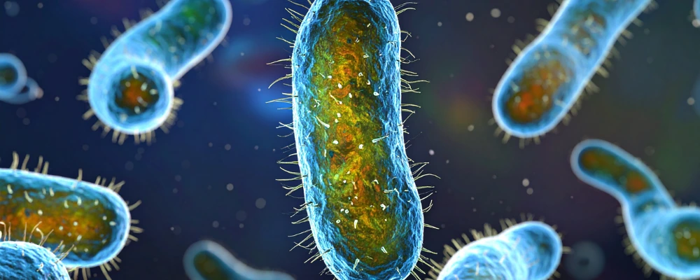 Certificate Of Microbiology Online Course