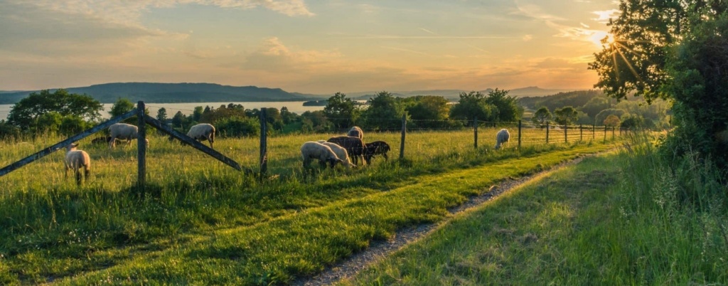 Certificate Of Farm Management