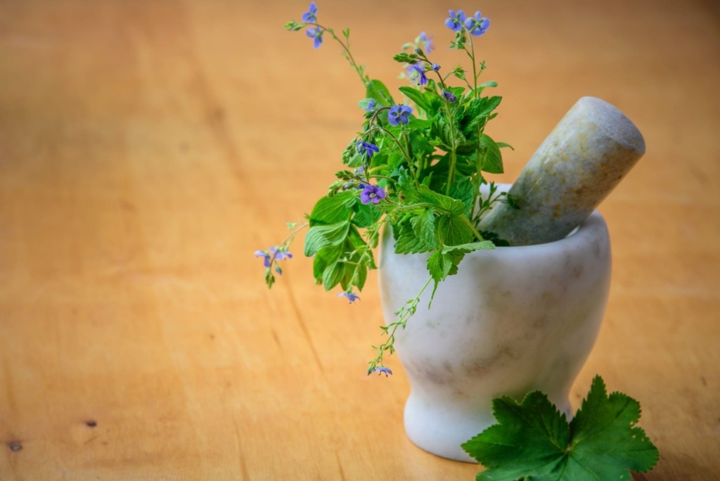 Cert Of Herbal Medicine Blog Scaled