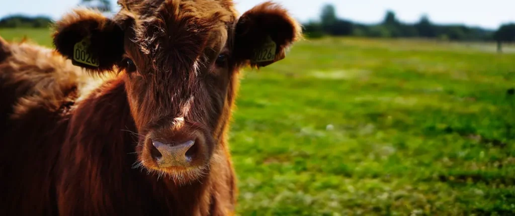 Farm Management 1500x630