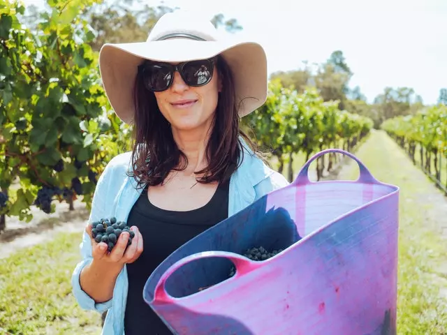 Viticulture Courses
