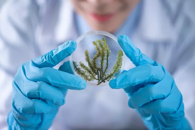Microbiology Course