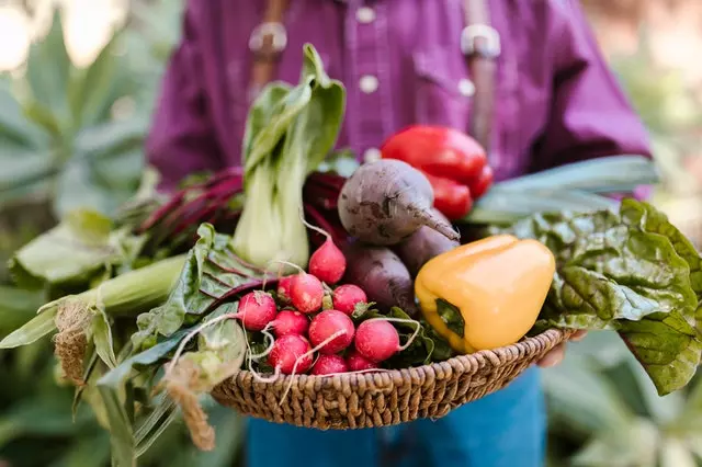 Organic Farming 1