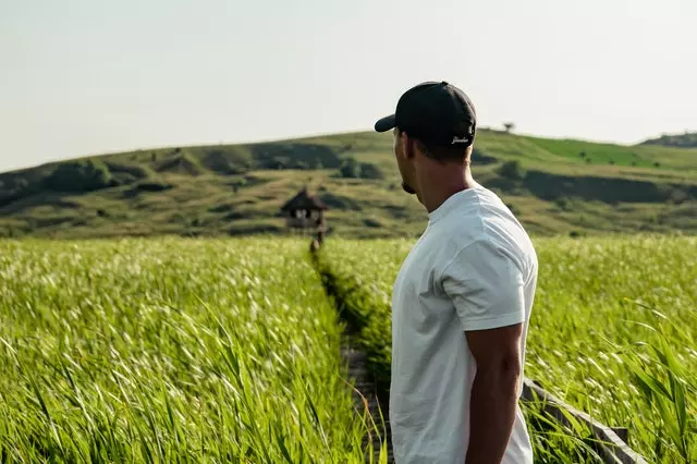 Sustainable Agriculture Man In Green Field