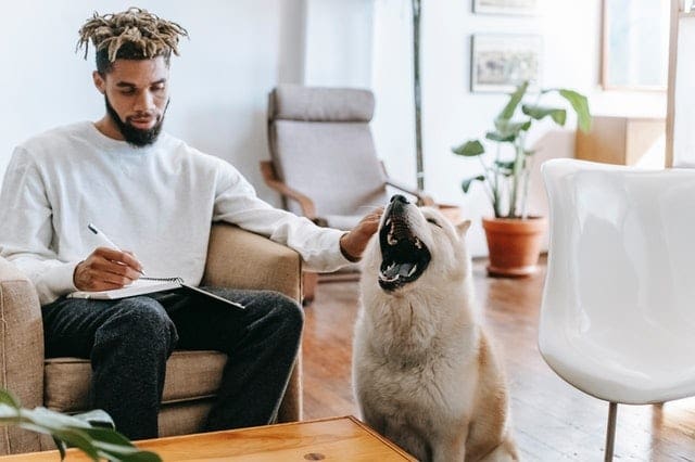 Animal Assisted Therapy Courses