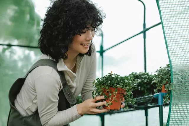 Garden Maintenance