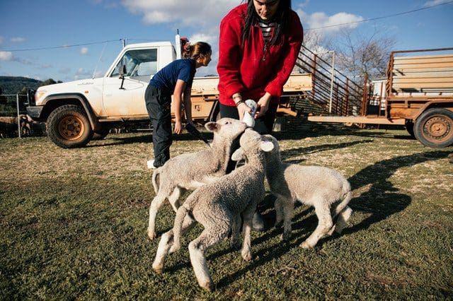 Agribusiness Courses