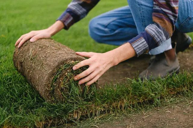 Lawn Care