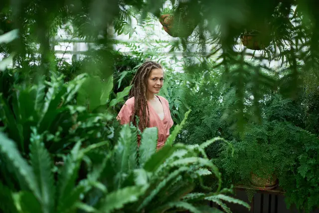 How To Grow Ferns