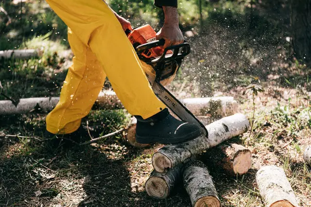 Forestry Courses