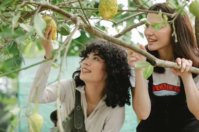 Fruit Growing