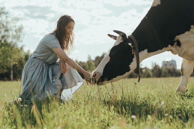 Agricultural Course Dairy