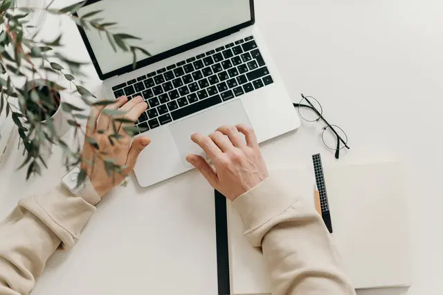 Plant And Laptop Photo