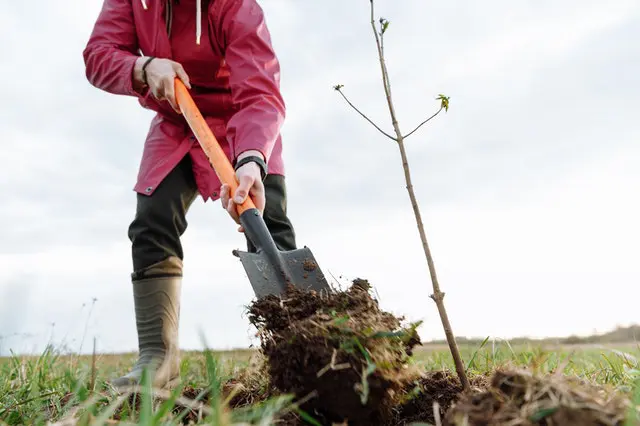 Soil Microbiome Course