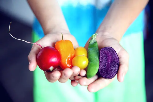 Health Food Production Course