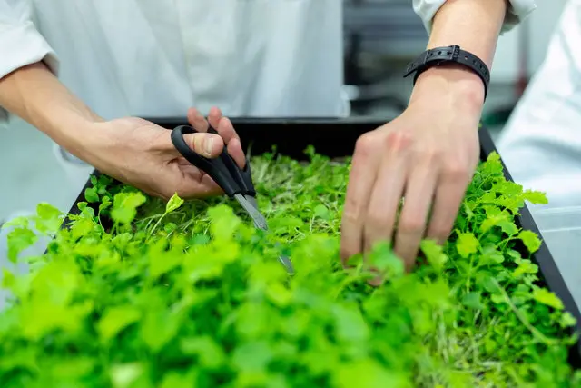 Sustainable Farming Course