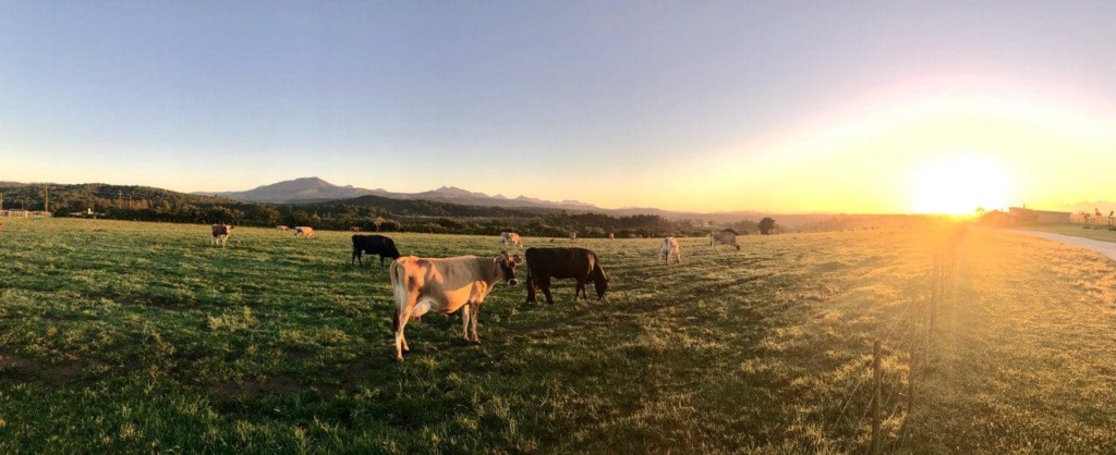 Certificate Of Pasture Management