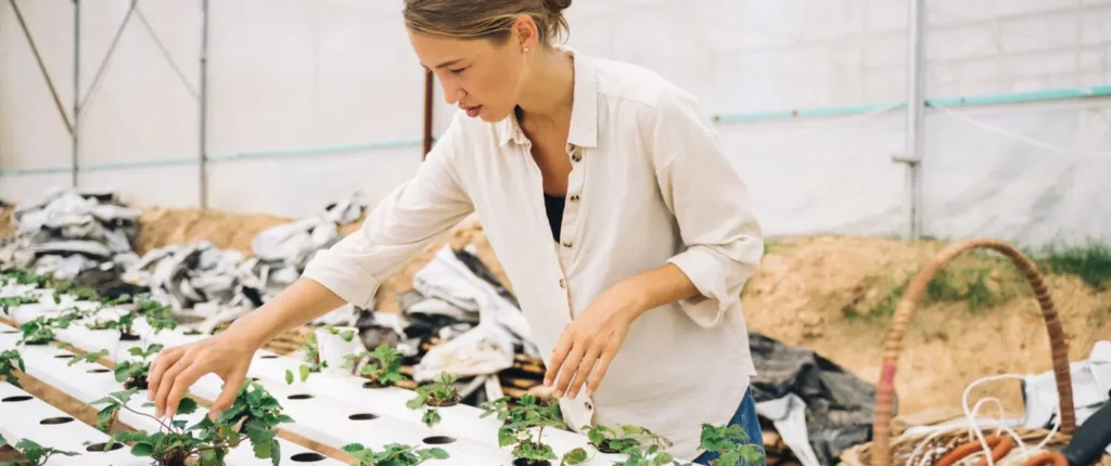 Hydroponics Farming 1500x630