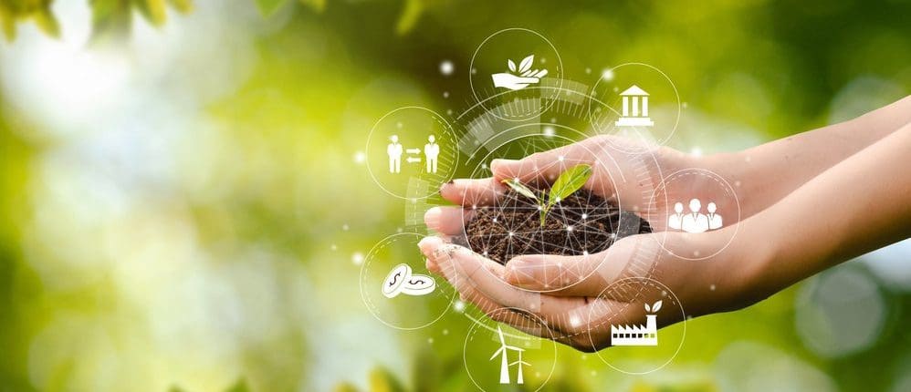Certificate Of Conservation And Environmental Management
