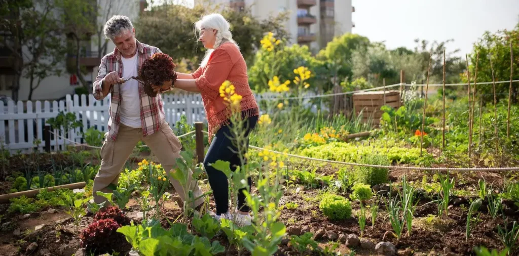 Kitchen Garden Self Sufficiency Program E1664409774256 1275x630