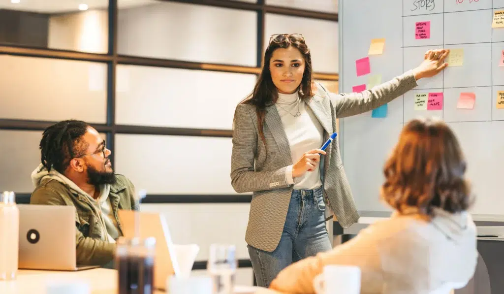 Apply Project Life Cycle Management Processes