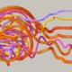 Adult brain breaks main image