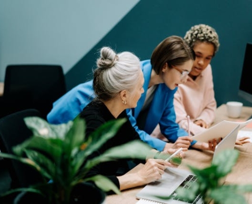 Career development blueprint