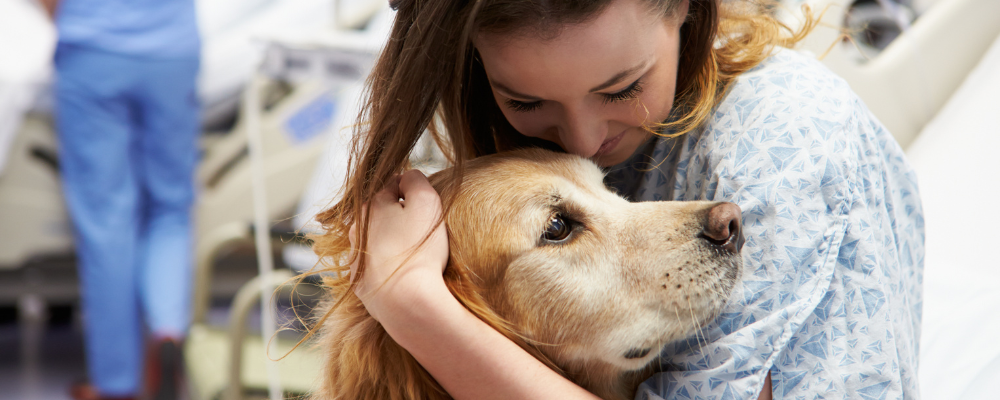 Certificate of Animal-Assisted Therapy AAT