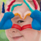 Certificate of Child Psychology Online Course