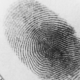 Certificate of Forensic Science Online Course