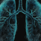Certificate of Human Anatomy and Physiology Online Courses