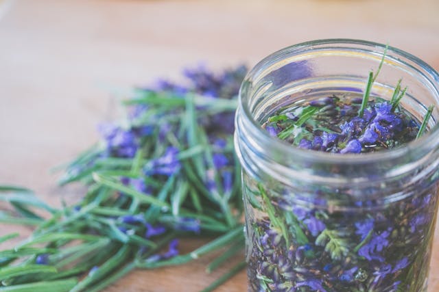 Lavendar herbal