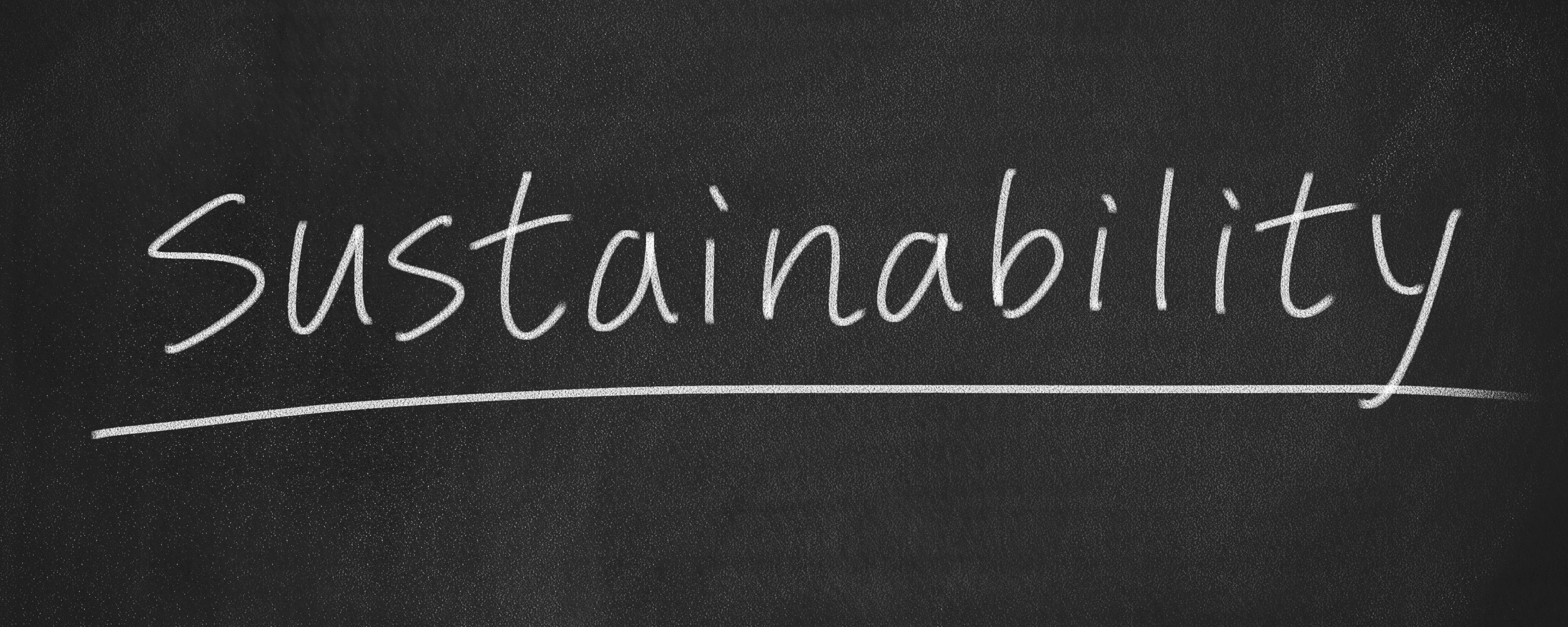 Sustainability in Education and Learning Programs