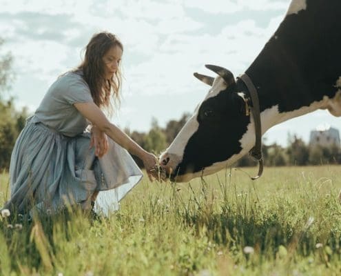 agricultural course dairy