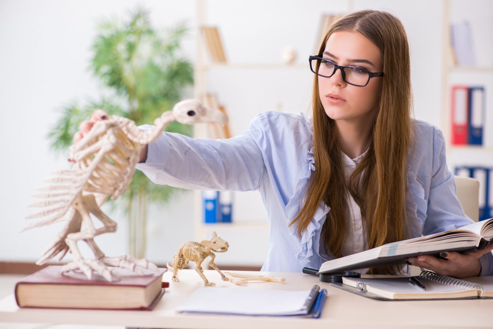 Certificate of Animal Anatomy and Physiology